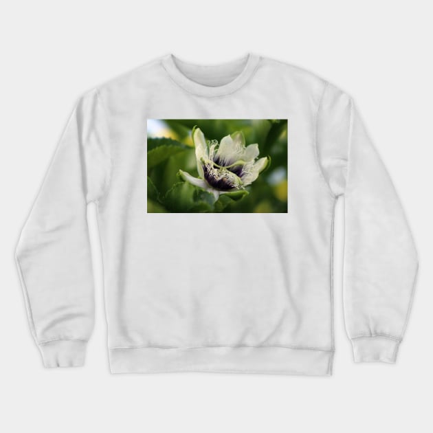 Passion Flower Budding Closeup Crewneck Sweatshirt by ButterflyInTheAttic